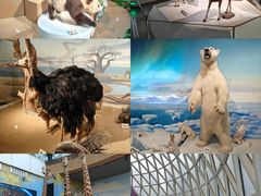 -陕西自然博物馆