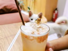 -柴务处·柴犬主题狗咖