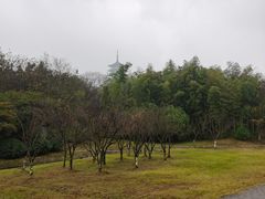 -宜兴龙背山森林公园