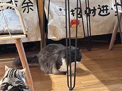 -小时光咖啡馆(开森度假森林店)
