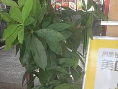 -微山岛春天里酒家