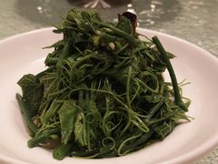 凉拌豌豆尖-巴音浩日娲·蒙餐(双林东路店)
