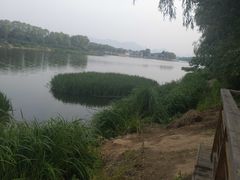 -亲兄弟真人CS团建拓展基地