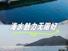-广东惠东海龟国家级自然保护区