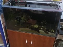 -福源药膳鸡(天润城店)