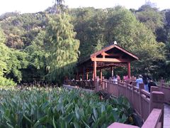 -重庆彩云湖湿地公园
