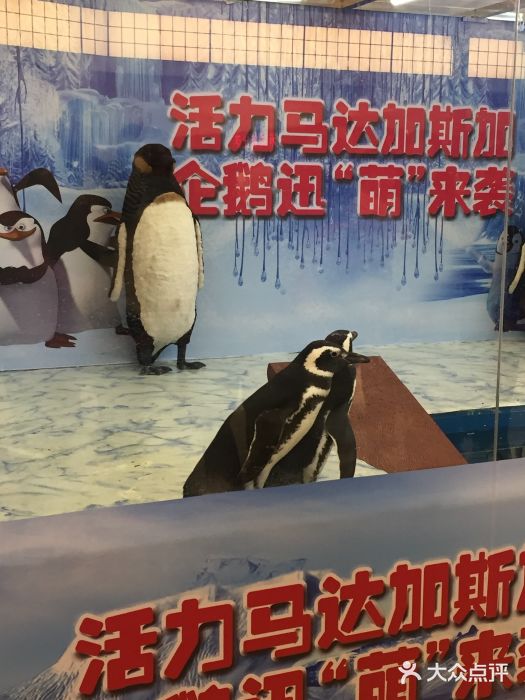 活力城购物中心图片