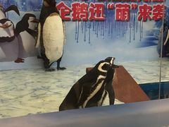 -活力城购物中心
