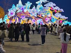 -淄博花灯齐彩城