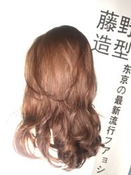 点击看大图 -藤野造型