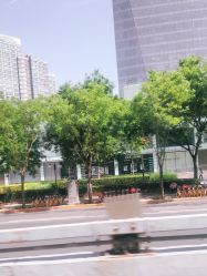 -THE LOG SALON 记录