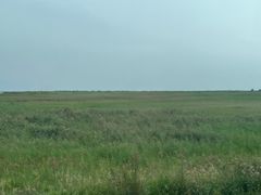 -哈素海