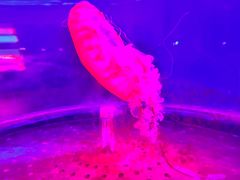 -常州海昌海洋探索馆