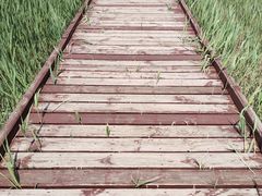 -西青郊野公园