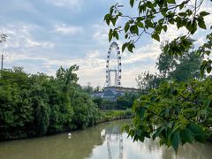 -上海野生动物园