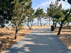 -巧克力渔家.小船海鲜家常菜(万平口店)