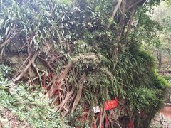 -飞霞风景名胜区