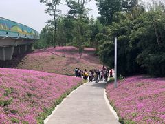 -白鹭湾湿地公园