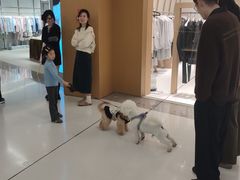 -宁波鄞州印象城