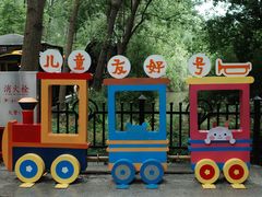 -合肥滨湖国家森林公园