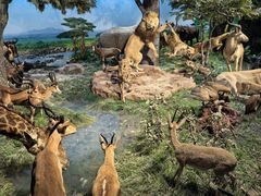 -国家自然博物馆