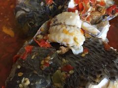 -风鑫铃罗非鱼(道沟店)