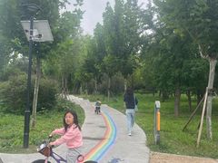 -太阳宫公园