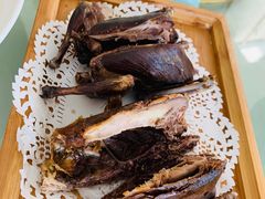 -食家鸽园