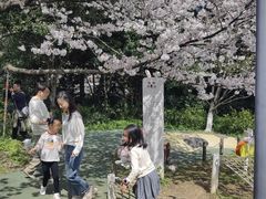 -杭州少年儿童公园