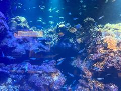 -海合安青岛极地海洋公园