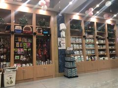 -瑞派名望志远动物医院·猫科·內科·异宠专科(直港大道店)