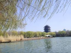 -鹊华居·地道鲁菜·海鲜·融合味(大明湖店)