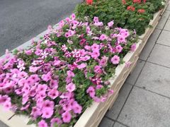 -金青果甄选KTV(劳动公园店)