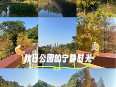 -云溪植物园