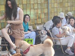 -福田卓悦INTOWN购物中心