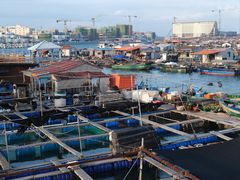 -蓝湾碧波·老字号·疍家非遗海上餐厅