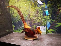 -下渚湖国家湿地公园科普馆