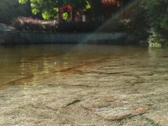 -鸿山公园