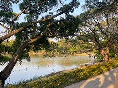 -江心屿景区