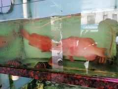 -裕兴酒家·34年老字号