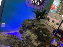 -佬麻雀·新湘菜(珠海金发购物中心店)