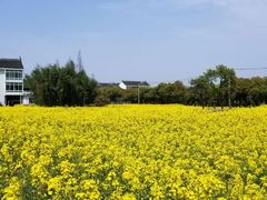 -锦江中华村农家乐饭庄