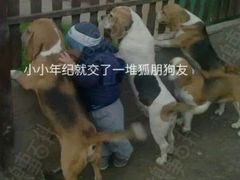 -南京理工大学紫金学院