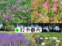 -汉长安城未央宫国家考古遗址公园