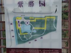 -嘉定紫藤园