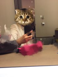 -金夫人婚纱摄影(华南店)