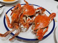 -北塘海鲜·天津菜(大光明桥旗舰店)