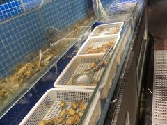 水产区-甄品麦哲伦海鲜和牛自助(万达广场店)