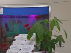 -雅悦齿科(顾村公园店)