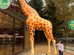 -大连森林动物园